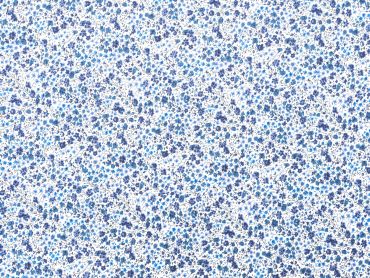 Phoebe, blau